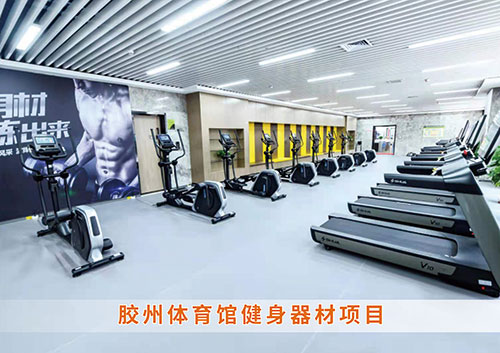 ?leyu.乐鱼体育为胶州体育馆打造的健身房