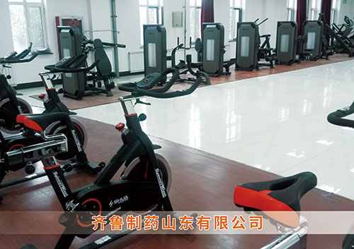 ?leyu.乐鱼体育为齐鲁制药呼和浩特分公司打造健身房